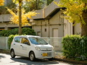 A white kei car parked beside yellow ginkgo trees.