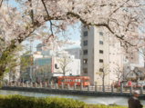 man in black jacket sitting on bench near trees and building during daytime